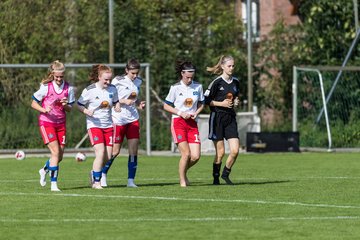 Bild 420 - wBJ Hamburger SV - Holstein Kiel : Ergebnis: 2:0